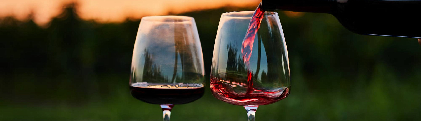 Настоящая находка: до -35% на топовые вина Старого и Нового Света