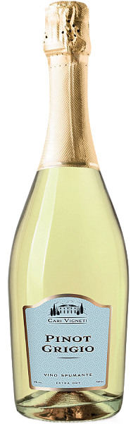 Игристое вино Cari Vigneti Pinot Grigio Spumante Extra Dry, 0.75 л в Саратове