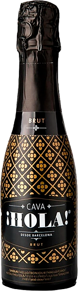 Игристое вино Hola Brut Cava DO, 0.2 л