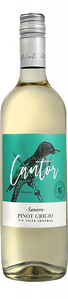 Чилийское вино Cantor Sonoro Pinot Grigio Central Valley DO Luis Felipe Edwards, 0.75 л