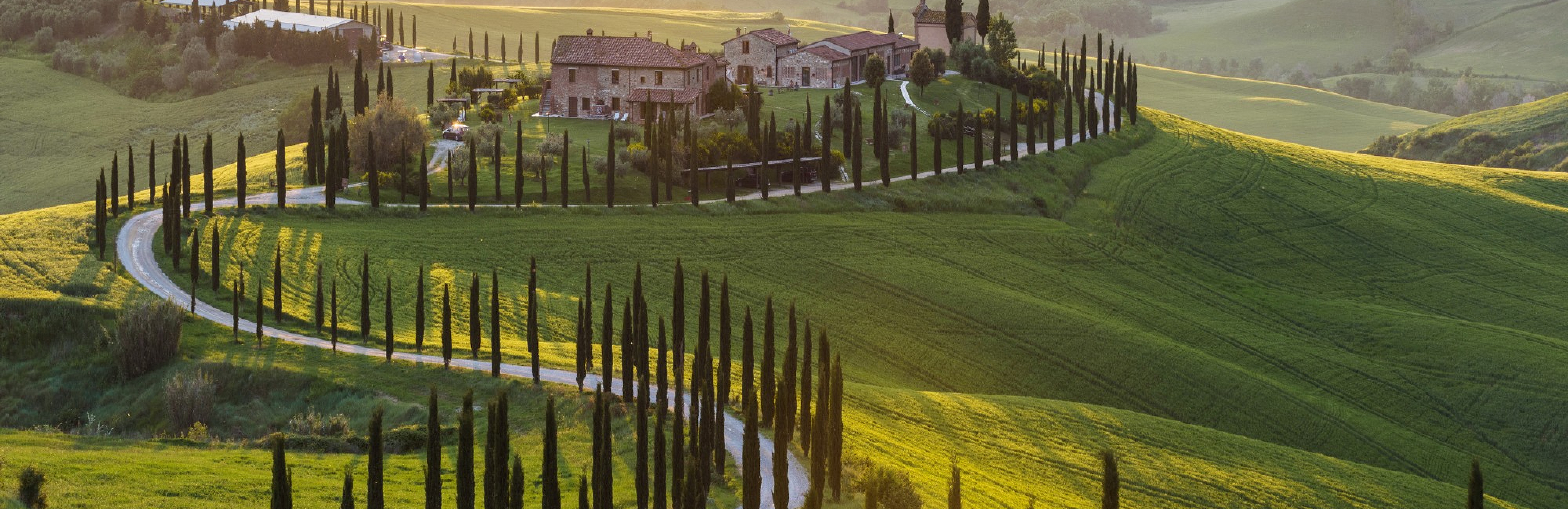 В тени кипарисовых аллей: все о виноделии Тосканы