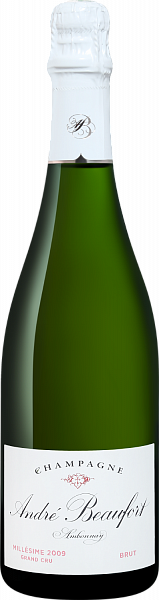 Шампанское Andre Beaufort Ambonnay Grand Cru Millesime Champagne AOC, 0.75 л