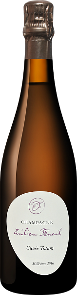 Шампанское Cuvee Totum Premier Cru Dosage Zero Champagne AOC Emilien Feneuil, 0.75 л в Обнинске