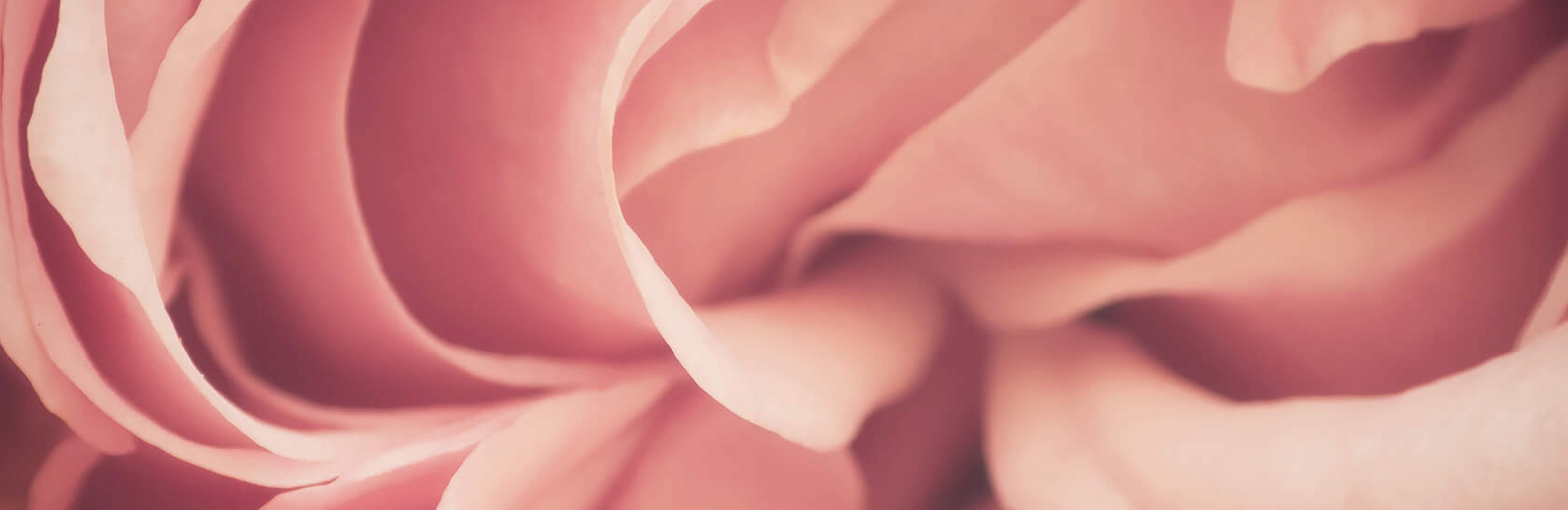 5 вопросов виноделу: Гийом Кордони, главный винодел Château Gassier