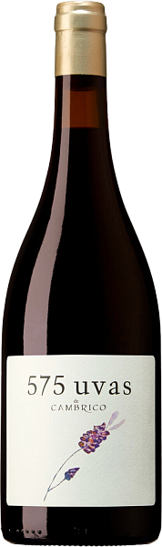 Вино 575 Uvas de Cambrico Sierra de Salamanca DOP, 0.75 л