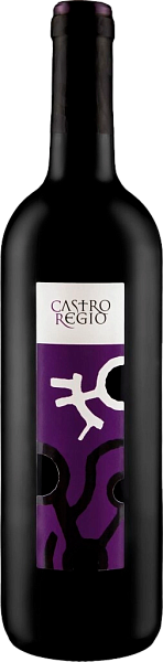Вино Castro Regio Red Dry, 0.75 л