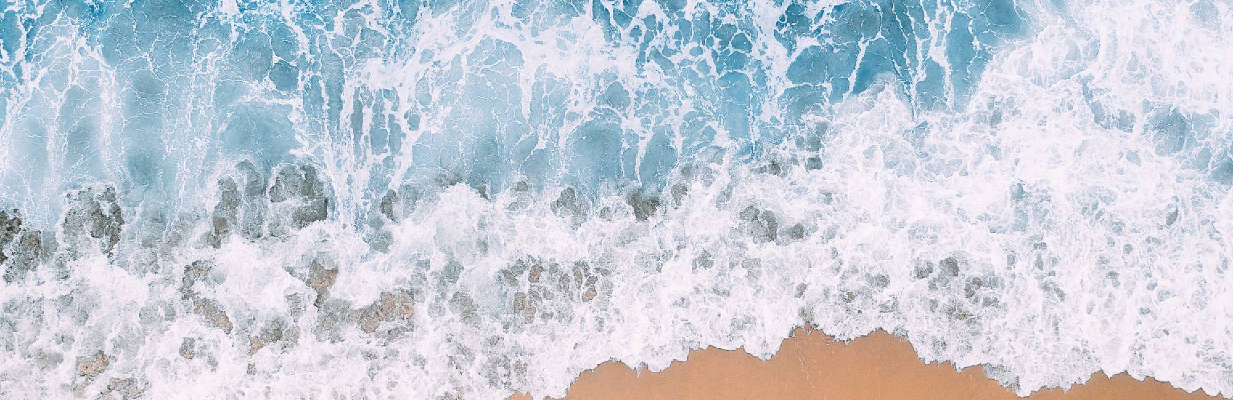 Рецепты: гребешки в сливочном соусе и рислинг