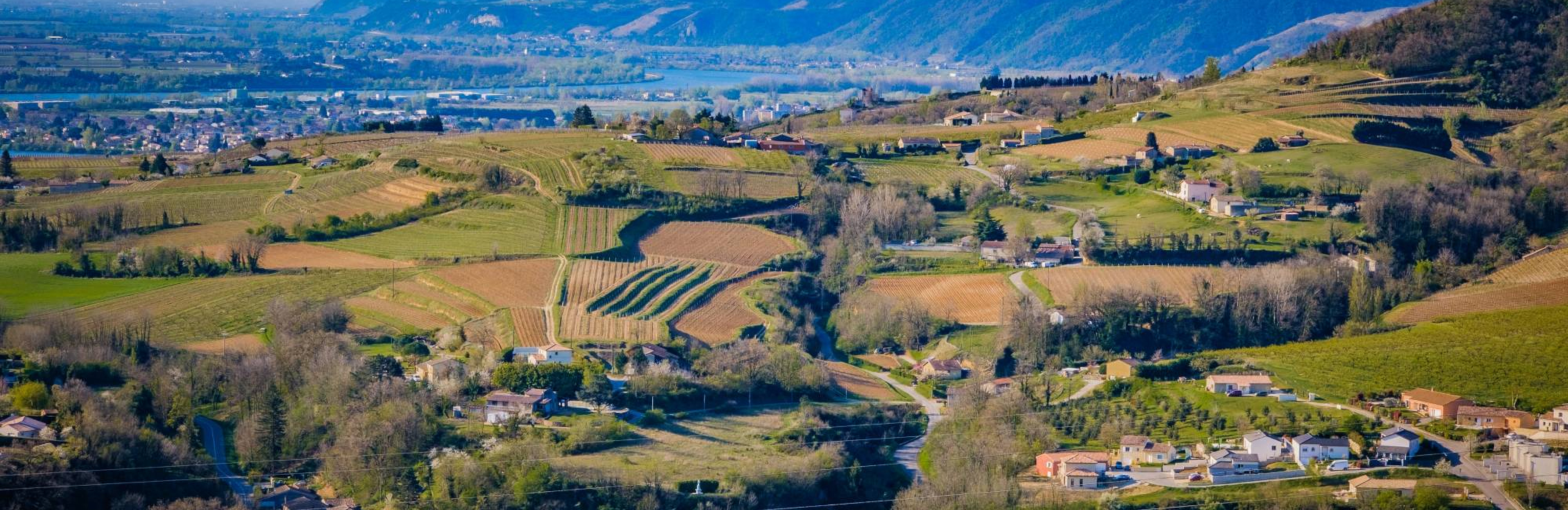 Северная Рона: пять стилей вин, которые стоит попробовать