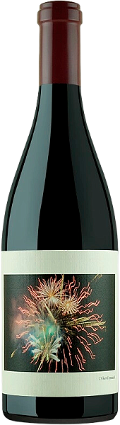 Вино Sanford & Benedict Vineyard Pinot Noir Santa Rita Hills AVA Chanin Wine, 0.75 л