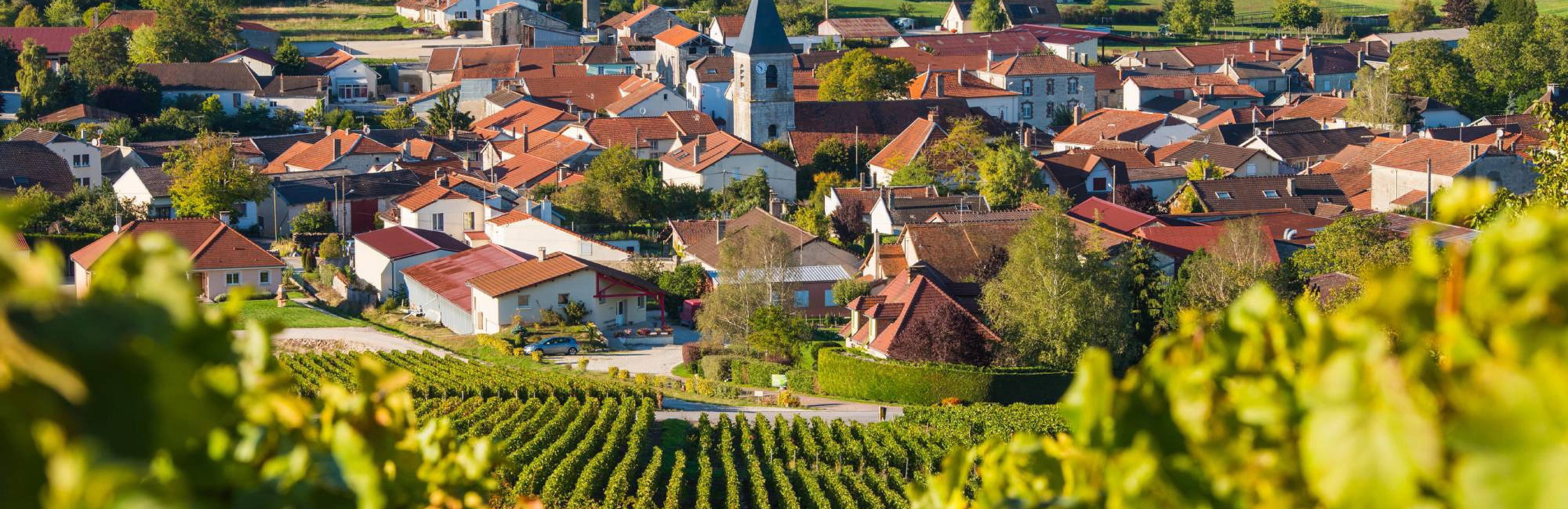 Шампань: 5 стилей, которые стоит попробовать