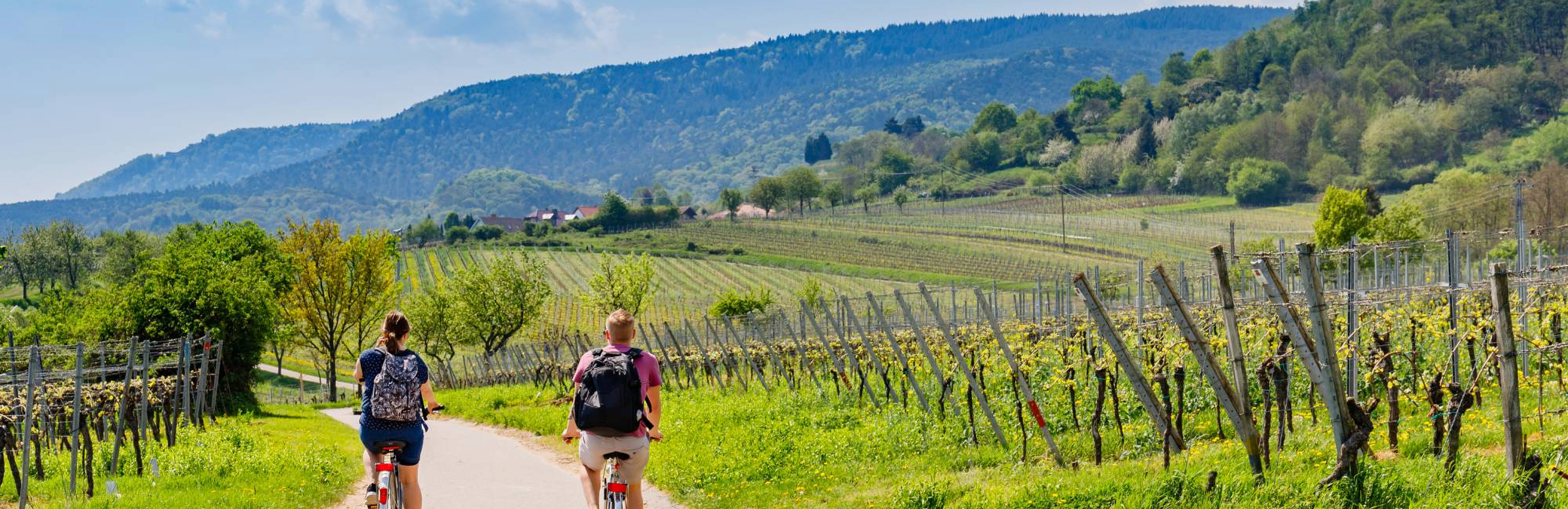 Куда отправиться любителю вина в России?