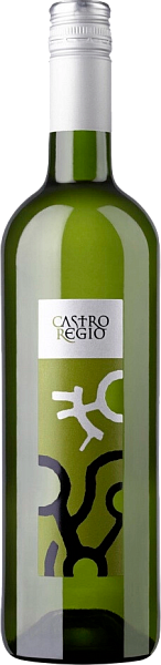 Вино Castro Regio White Dry, 0.75 л