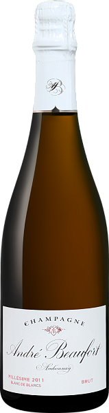 Шампанское Andre Beaufort Ambonnay Blanc de Blancs Millesime Champagne AOC, 0.75 л в Тюмени