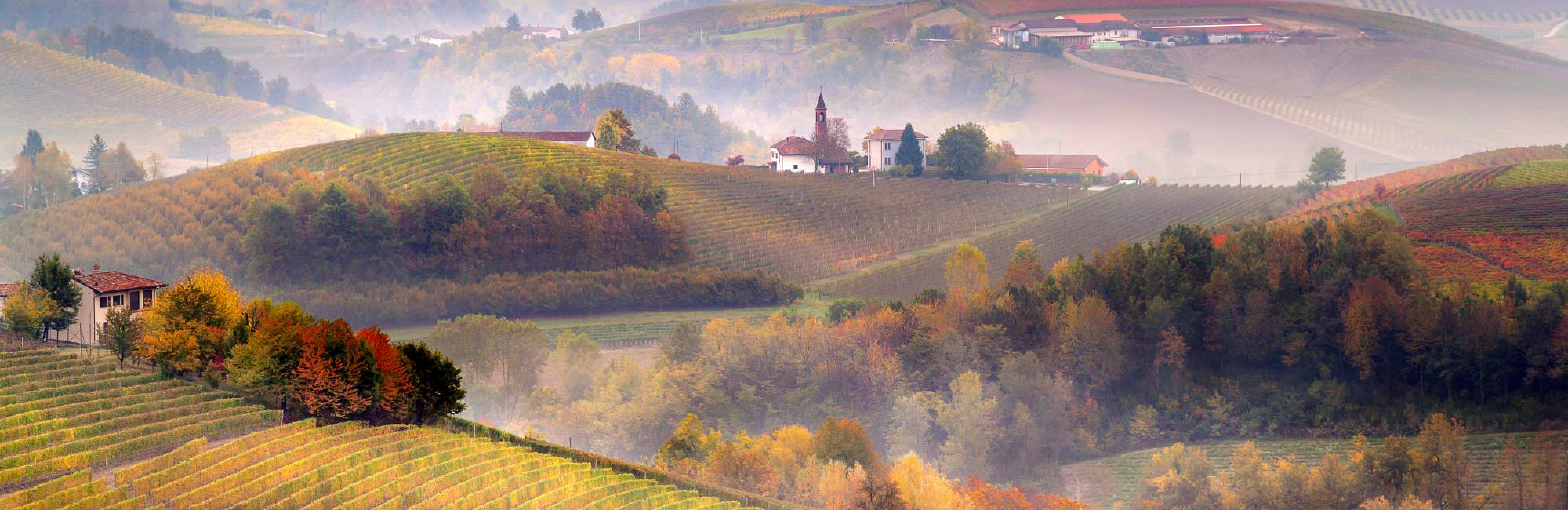 Туманная история: гид по неббиоло