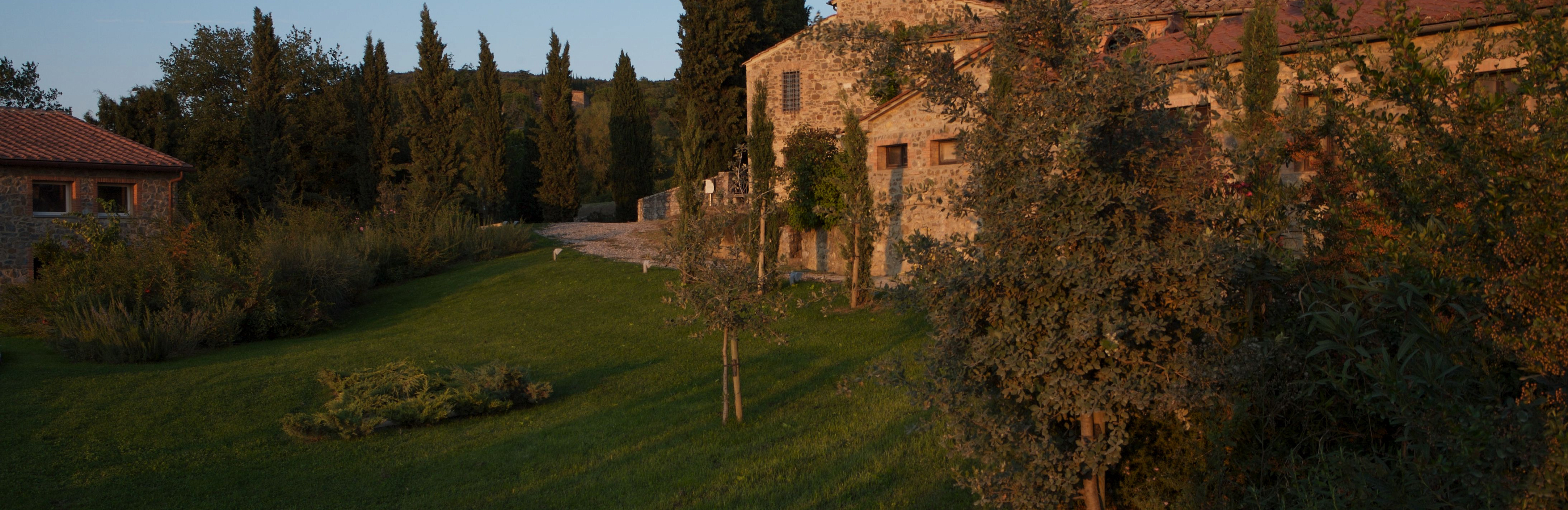 Вино с историей: традиции и модерн в винах Gaja