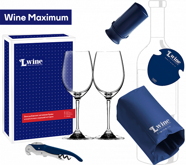 Wine Maximum wine accessories set