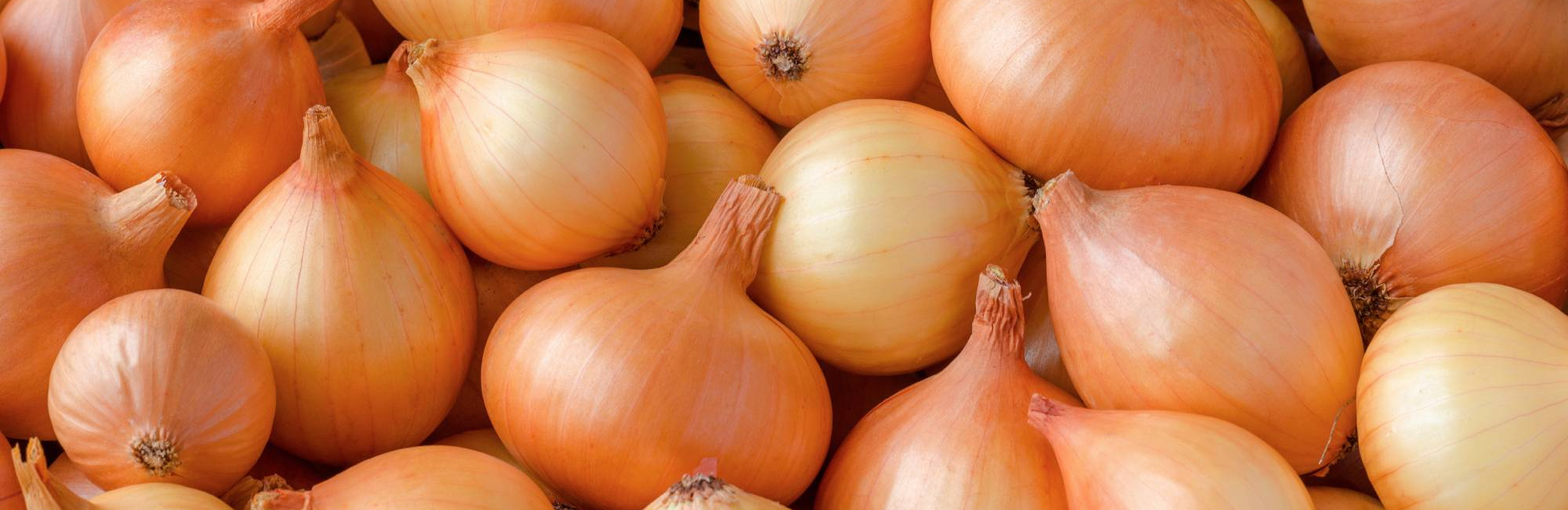 Рецепты: луковый суп и рислинг