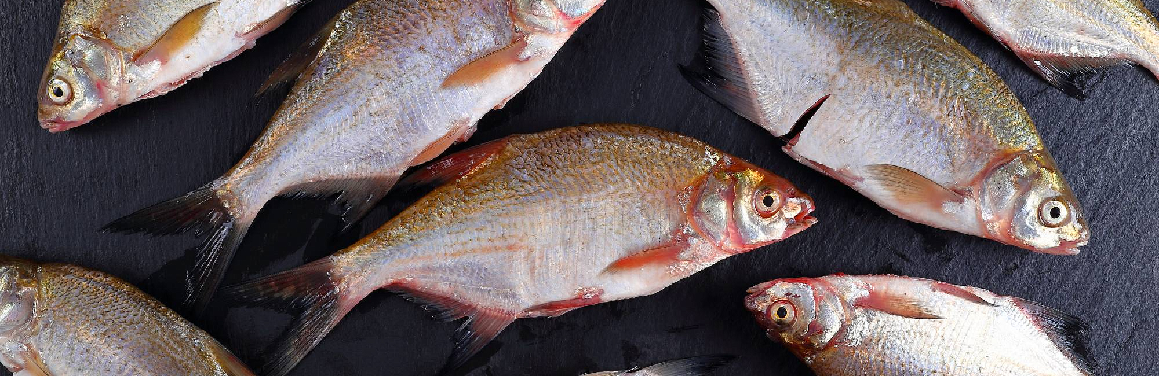 Рецепты: лещ с лемонграссом и рислинг