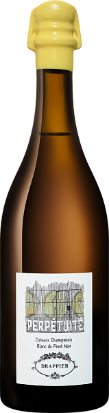 Вино Perpetuite Blanc de Pinot Noir Coteaux Champenois AOC Drappier, 0.75 л в Нижнем Новгороде