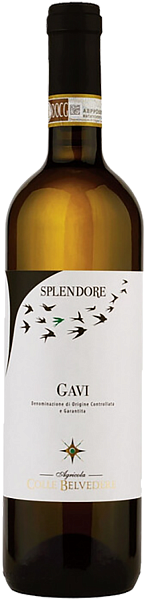 Вино Splendore Gavi DOCG Colle Belvedere, 0.75 л в Курске