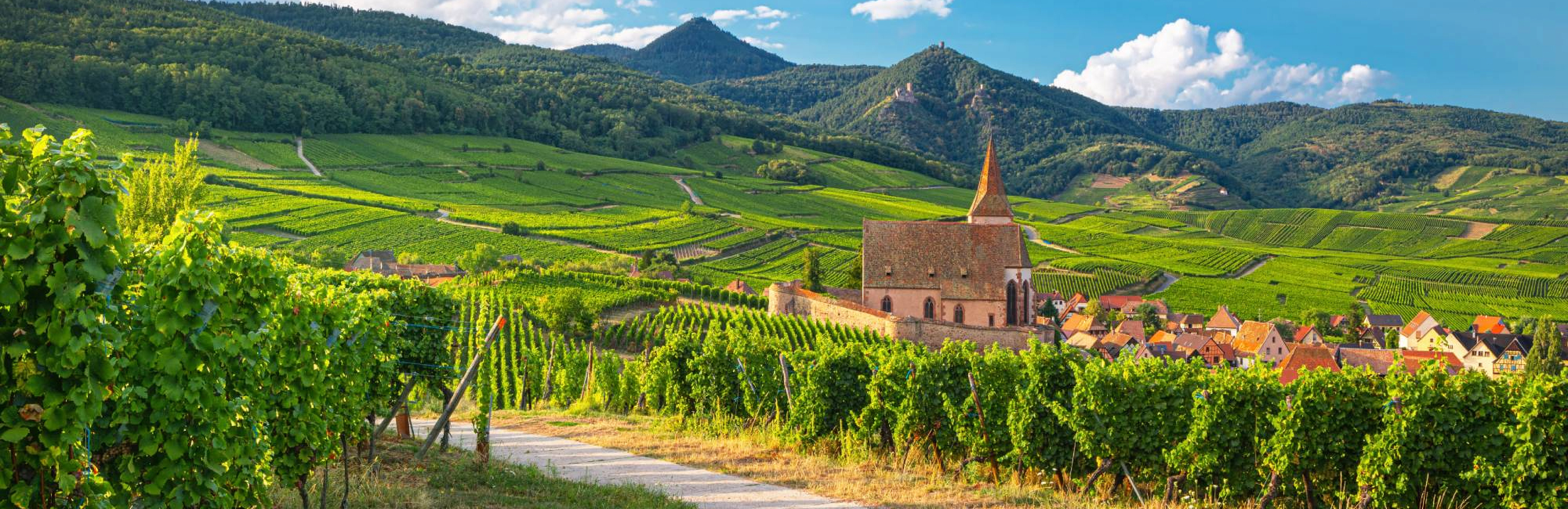 Эльзас: пять стилей, которые стоит попробовать