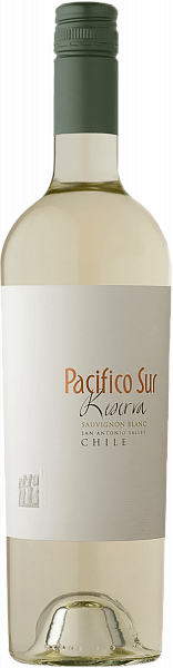Вино Pacifico Sur Sauvignon Blanc Reserva San Antonio Valley DO, 0.75 л