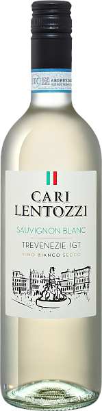 Вино Cari Lentozzi Sauvignon Blanc Trevenezie IGT Villa degli Olmi, 0.75 л в Воронеже