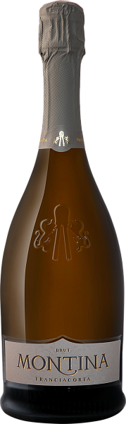 Игристое вино La Montina Franciacorta DOCG Brut, 0.75 л в Саратове