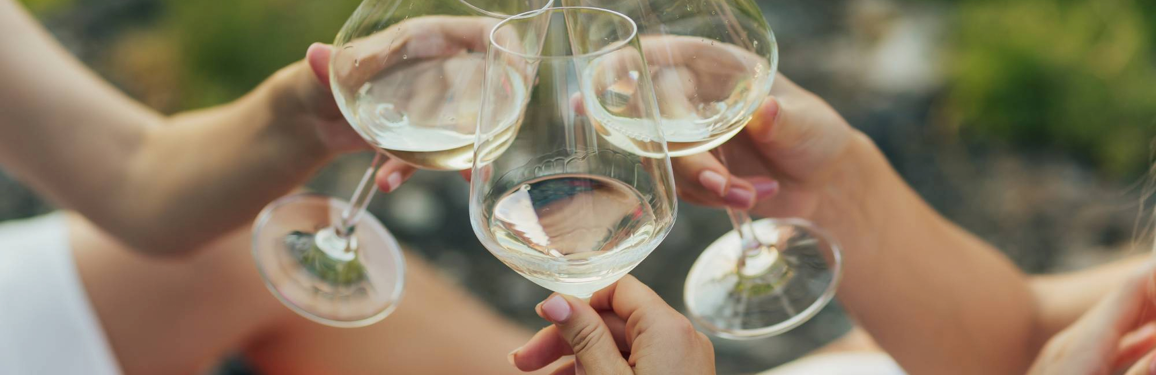 Главный сорт Руэды: гид по вердехо