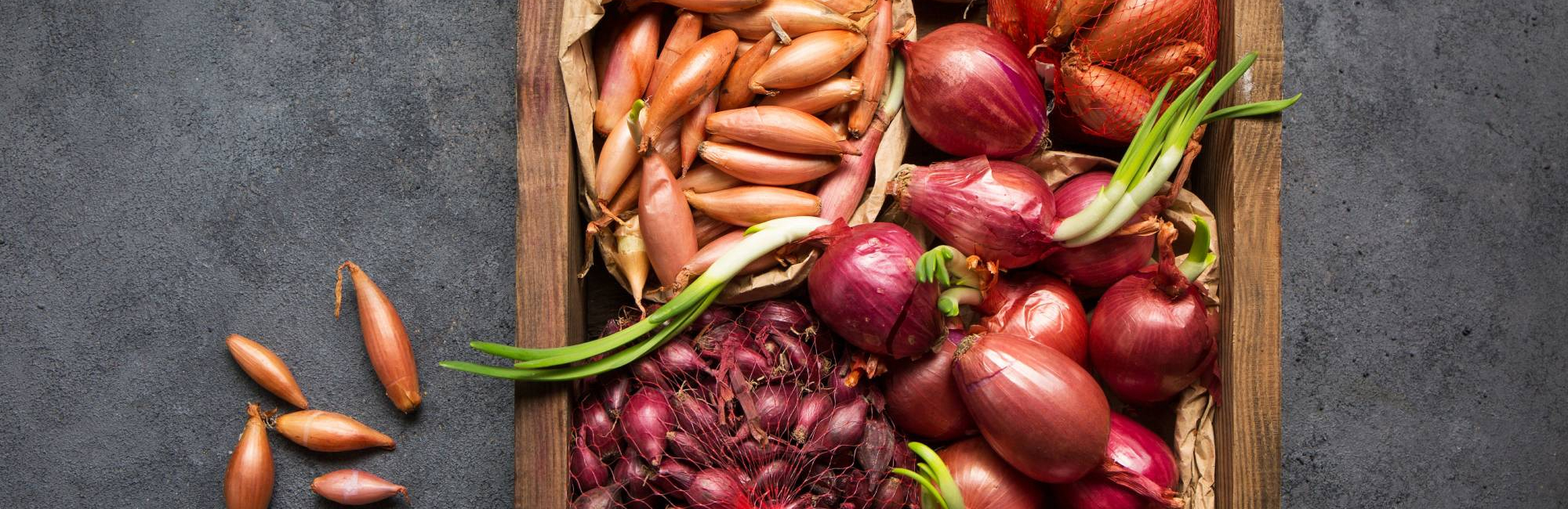 Рецепты: луковый тарт и шардоне