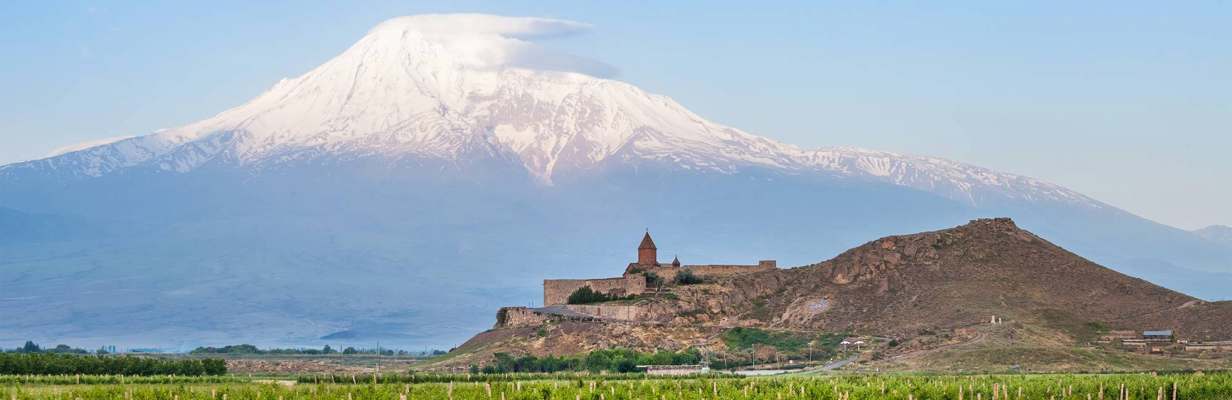 Новое виноделие Армении